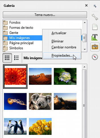 Modificando el tema de la Galería