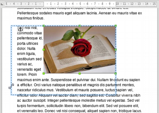 Cambiando el tamaño de la imagen con el arrastre del ratón Cambiando el tamaño de la imagen con el arrastre del ratón
