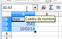 Cuadro de nombres con un rango seleccionado