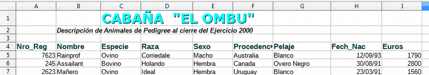 Apariencia del documento de práctica