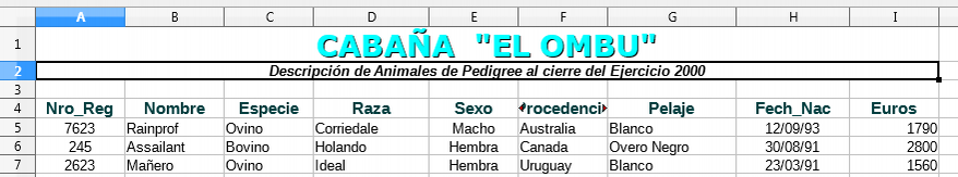 Apariencia del documento de práctica