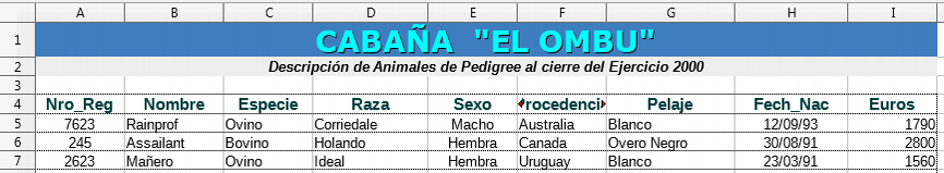 Apariencia del documento de práctica