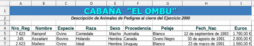 Apariencia del documento de práctica