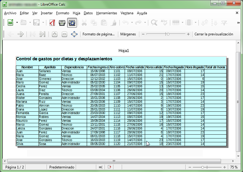 Previsualización página con bordes y fondo