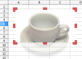 Imagen con la parte recortada atenuada