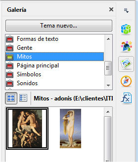 Apariencia de la Galería personalizada con el nuevo tema