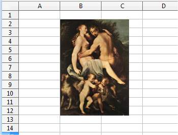 Apariencia de la hoja