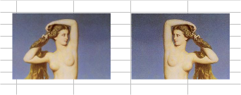 Imágenes recortadas