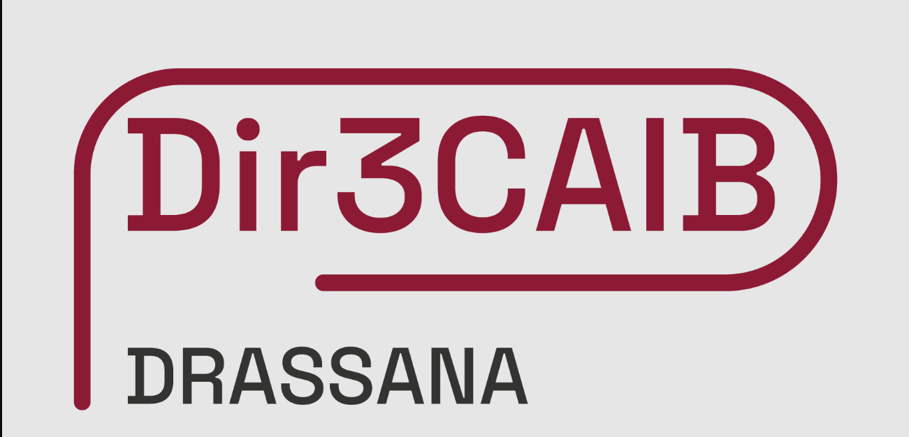 Dir3CAIB