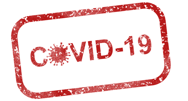 Imatge obtinguda a https://pixabay.com/es/illustrations/covid-19-virus-coronavirus-pandemia-4960254/